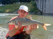 56 cm.jpg